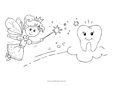 Fairy And Magic Tooth